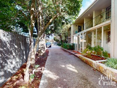 3/231 Cotham Road