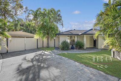 4 Silvereye Court